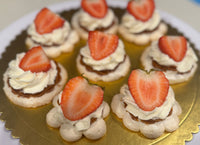 PAVLOVA