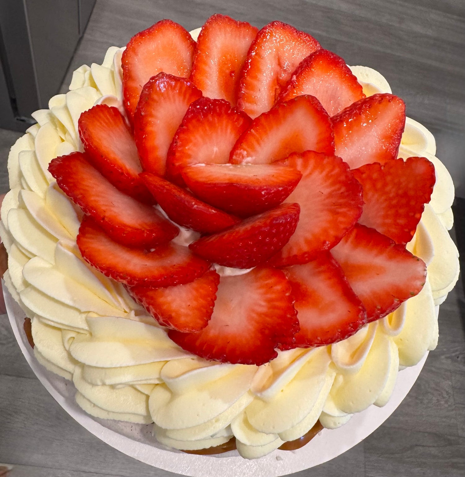PAVLOVA
